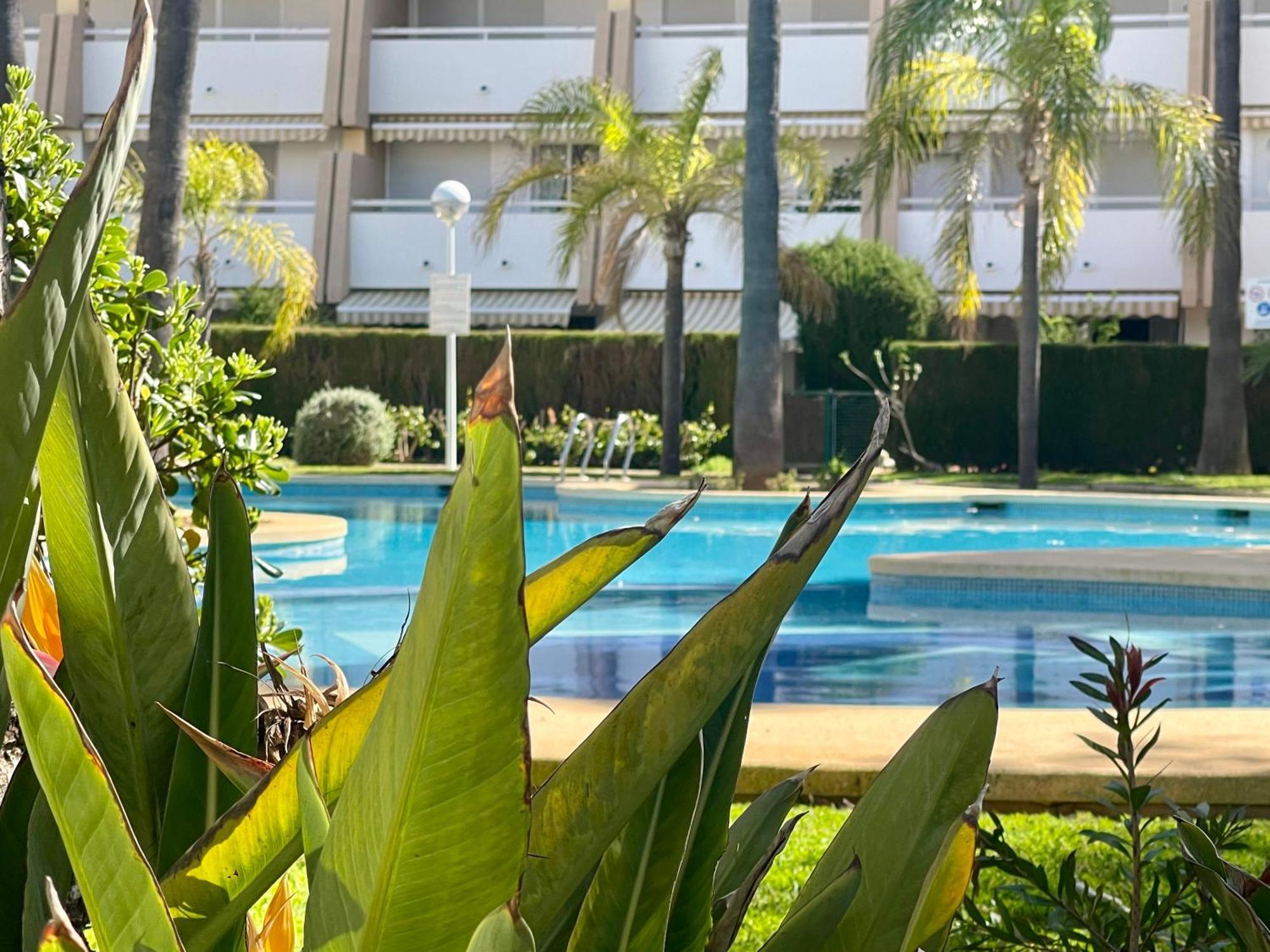 The Beach House Playa Del Arenal Javea - Pool And Garden Steps From The Beach Platja de Larenal Exteriör bild