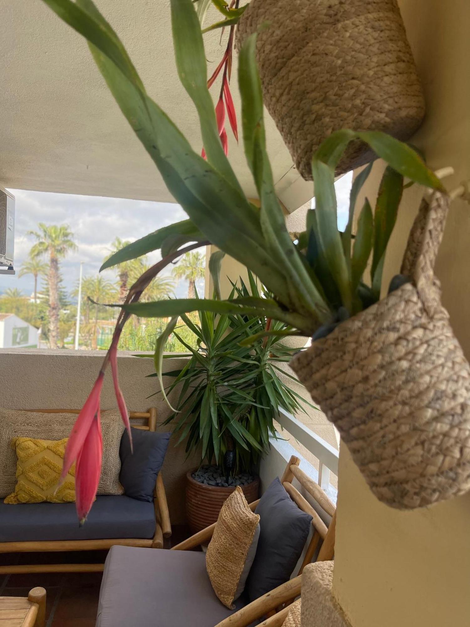 The Beach House Playa Del Arenal Javea - Pool And Garden Steps From The Beach Platja de Larenal Exteriör bild